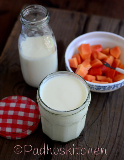 Homemade Milk Kefir-How to Make Milk Kefir At Home | Padhuskitchen