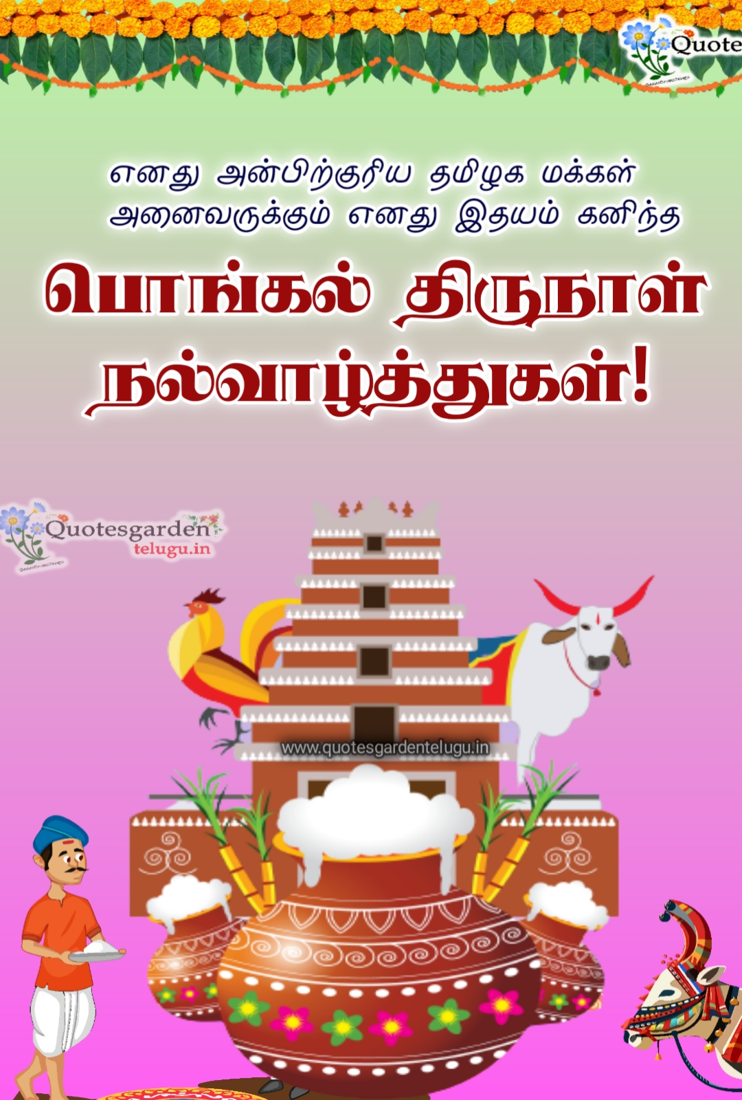 Pongal 2021 greetings wishes images in tamil quotes wallpapers ...