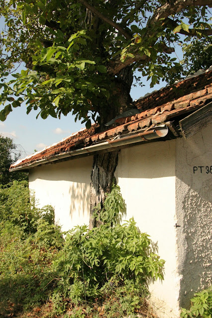 « България. »