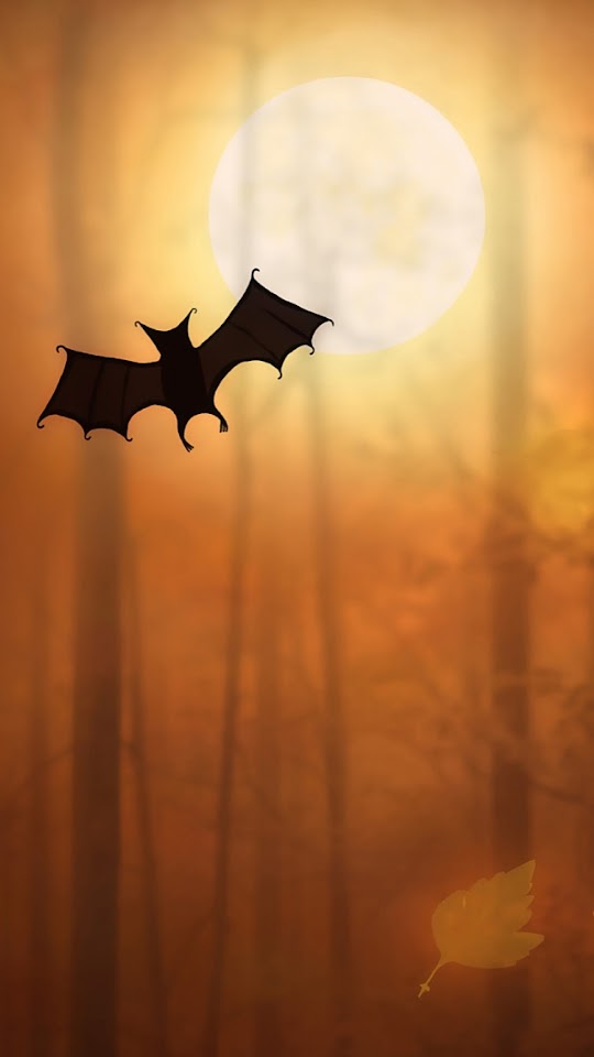   Halloween Bat Illustration   Android Best Wallpaper