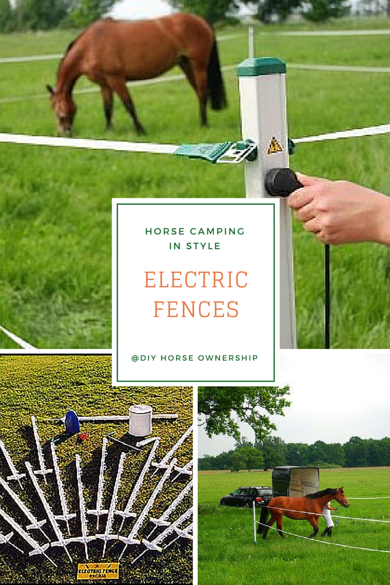 Do It Yourself Horse Ownership How To Go Horse Camping Where to Keep