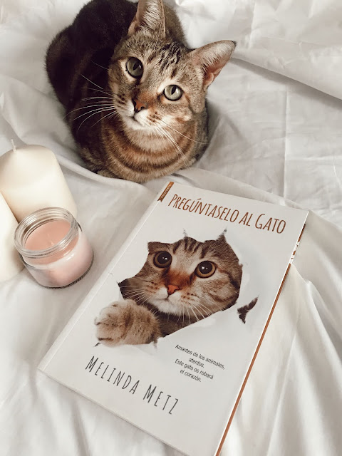 Reseña literaria Pregúntaselo al gato de Melinda Metz