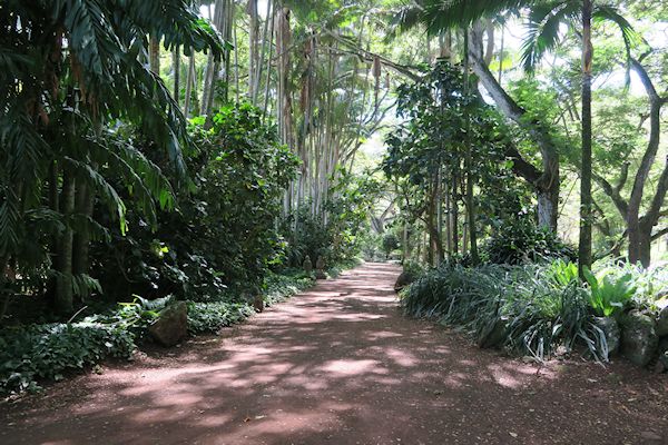 a guide to northeastern gardening allerton tropical botanical