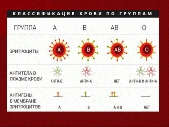 Комары какая группа крови. Группа крови. Группа крови текст. 1 Группа крови. Группа крови крови слова.