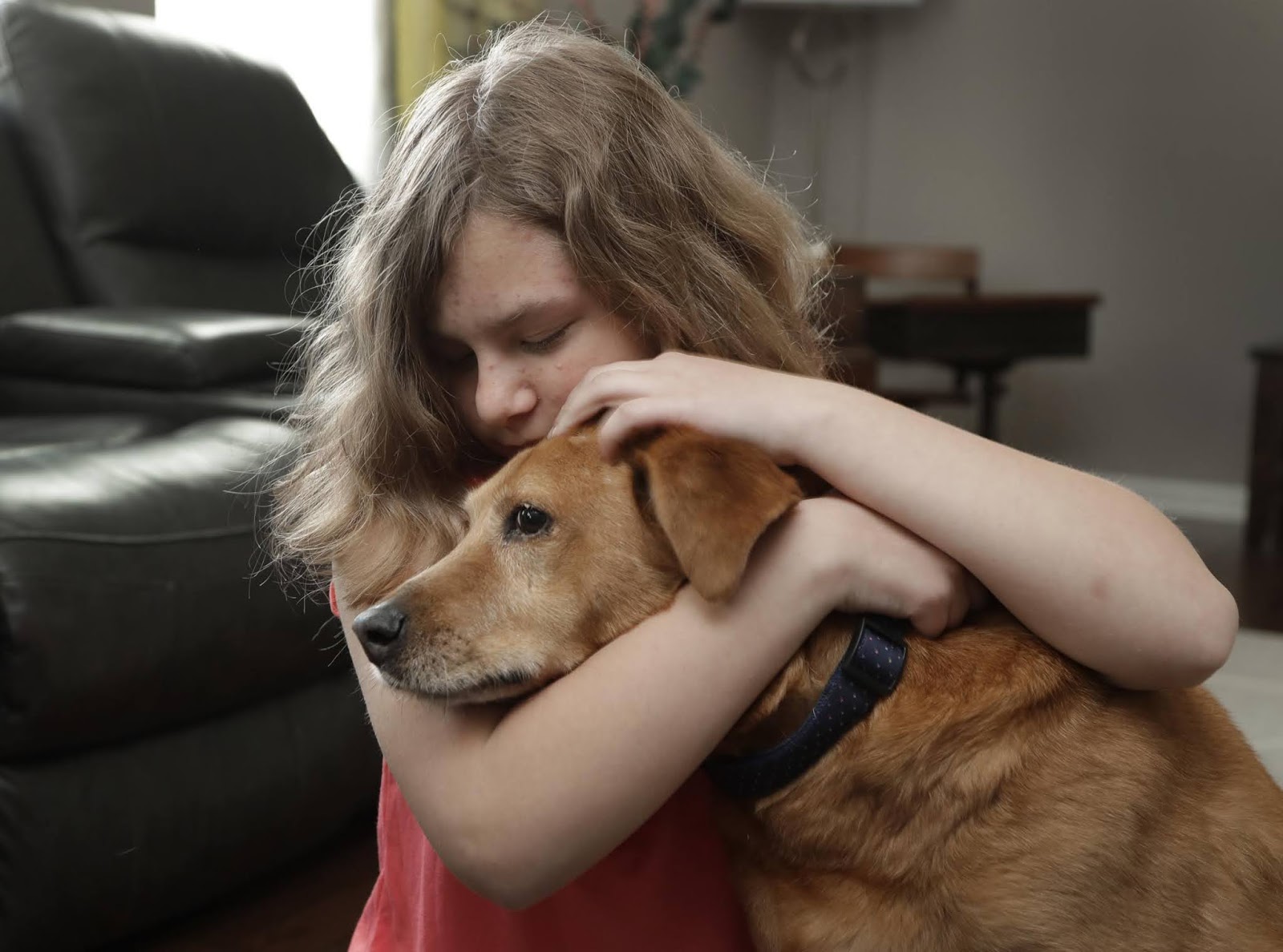 registering my service dog