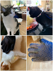 WHAT'S IN THE BOX Cute Cat Collars and Grooming Glove from Zacal @BionicBasil® Grooming Glove In Action