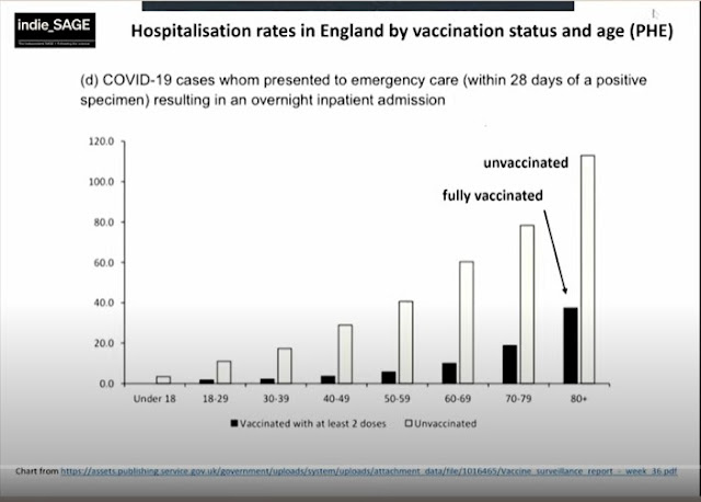 indieSAGE PHE asset vaccination status by age of hospitalised people relative risk