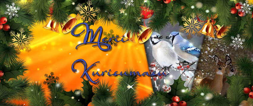 Frohe pixelio Weihnachtsbilder downloaden: Gratis Weihnachtsbilder