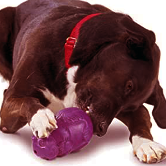 Dog Toys For The Brain,