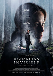 The Invisible Guardian Poster