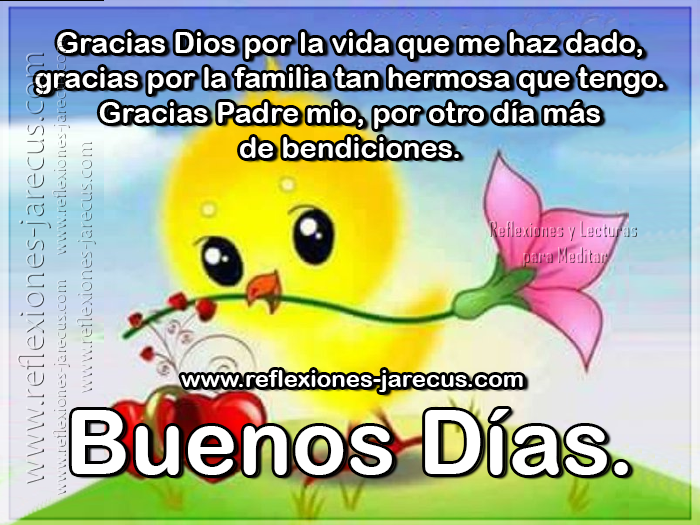 Gracias Dios por la vida que me haz dado, gracias por la familia tan hermosa que tengo. Gracias Padre mio, por otro día más de bendiciones. Buenos días