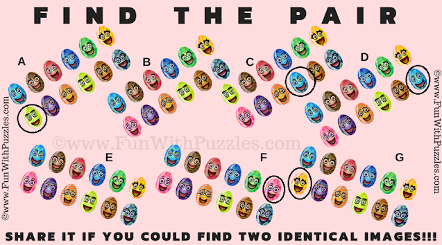 Answer of Find the Pair Picture Riddle