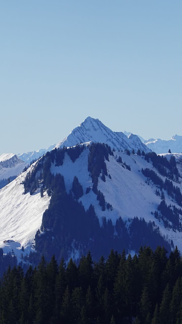 Mountain, Top, Snow, Trees, Winter, Landscape Mountain, Top, Snow, Trees, Winter, Landscape