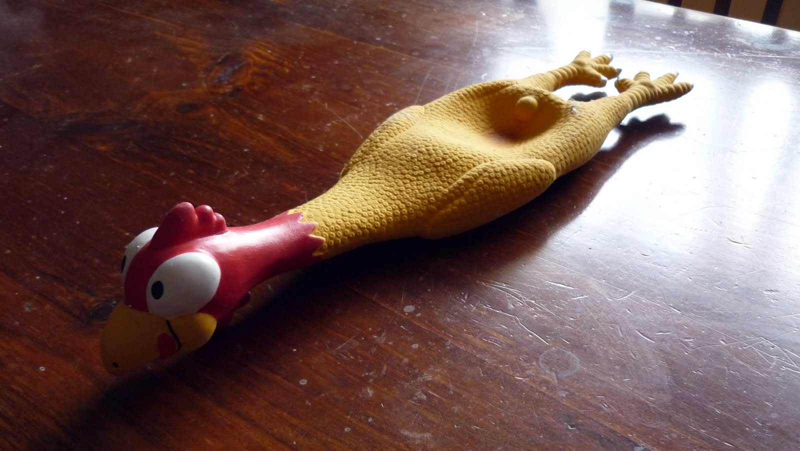 An Object A Day Rubber Chicken & Crazy String