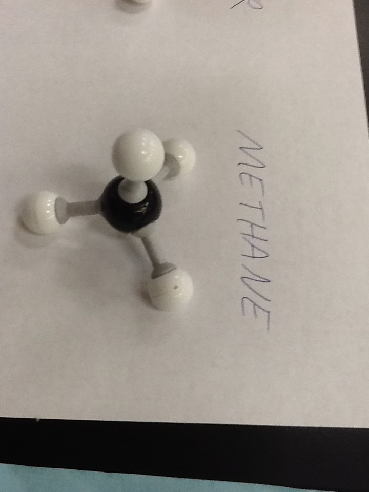 Mr. Bursch's Science Site BIOLOGY and HONORS BIOLOGY Biomolecule