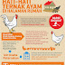 Cermati Permasalahan Hukum Dalam Membangun Peternakan Anak Ayam
