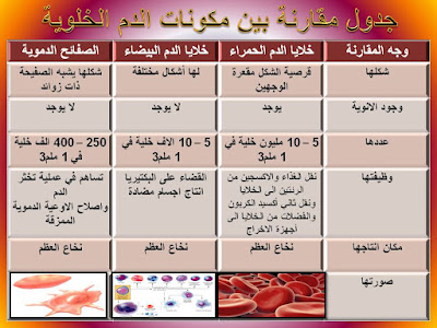 جدول المقارنة بين مكونات الدم / للصف الثامن الفصل الثاني 