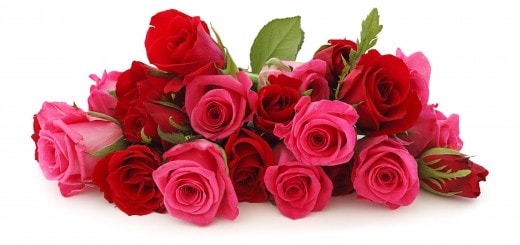 %25D9%2588%25D8%25B1%25D9%2588%25D8%25AF-%25D8%25A7%25D9%2584%25D8%25AD%25D8%25A8-9-min.jpg