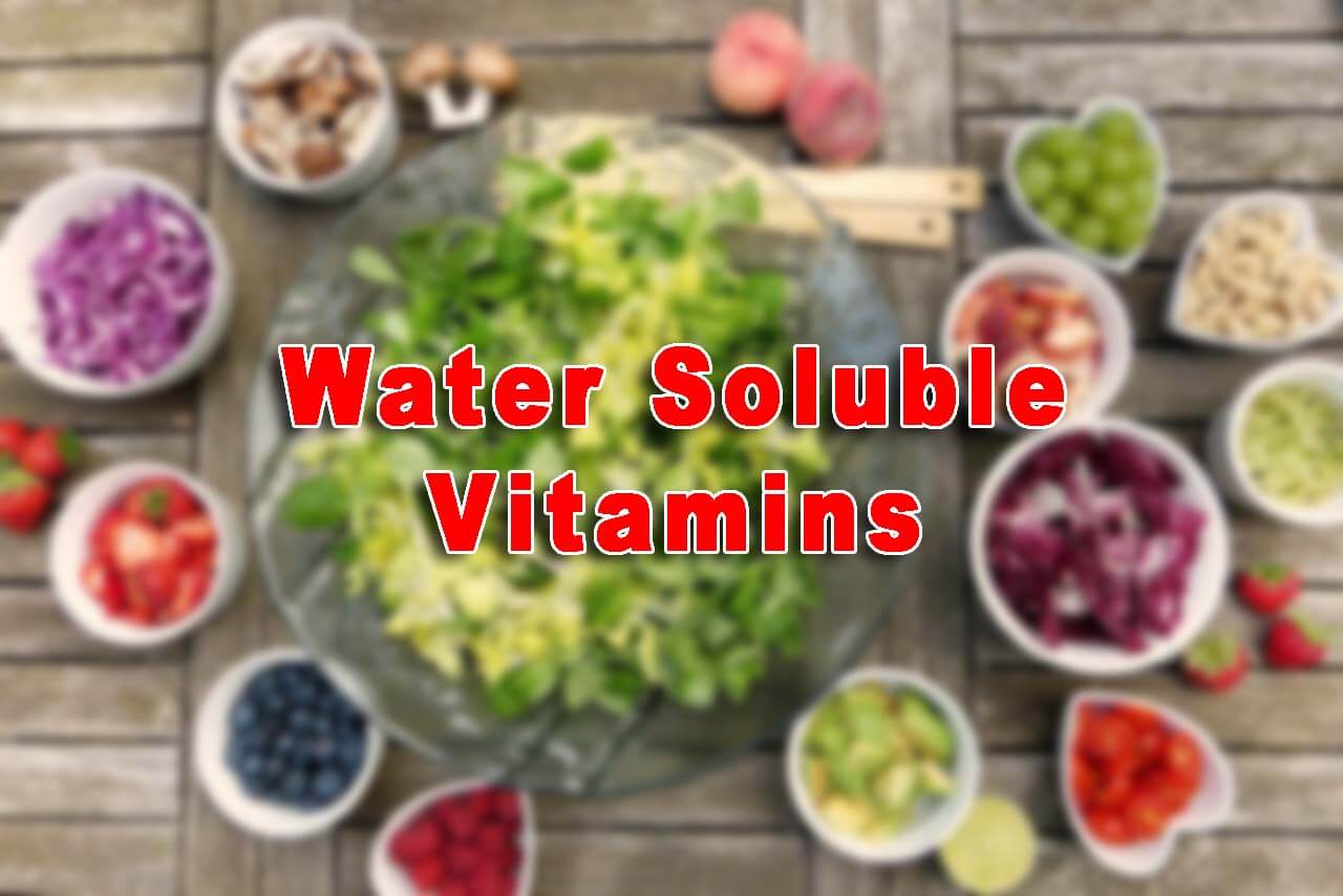 Which vitamins are soluble in water?