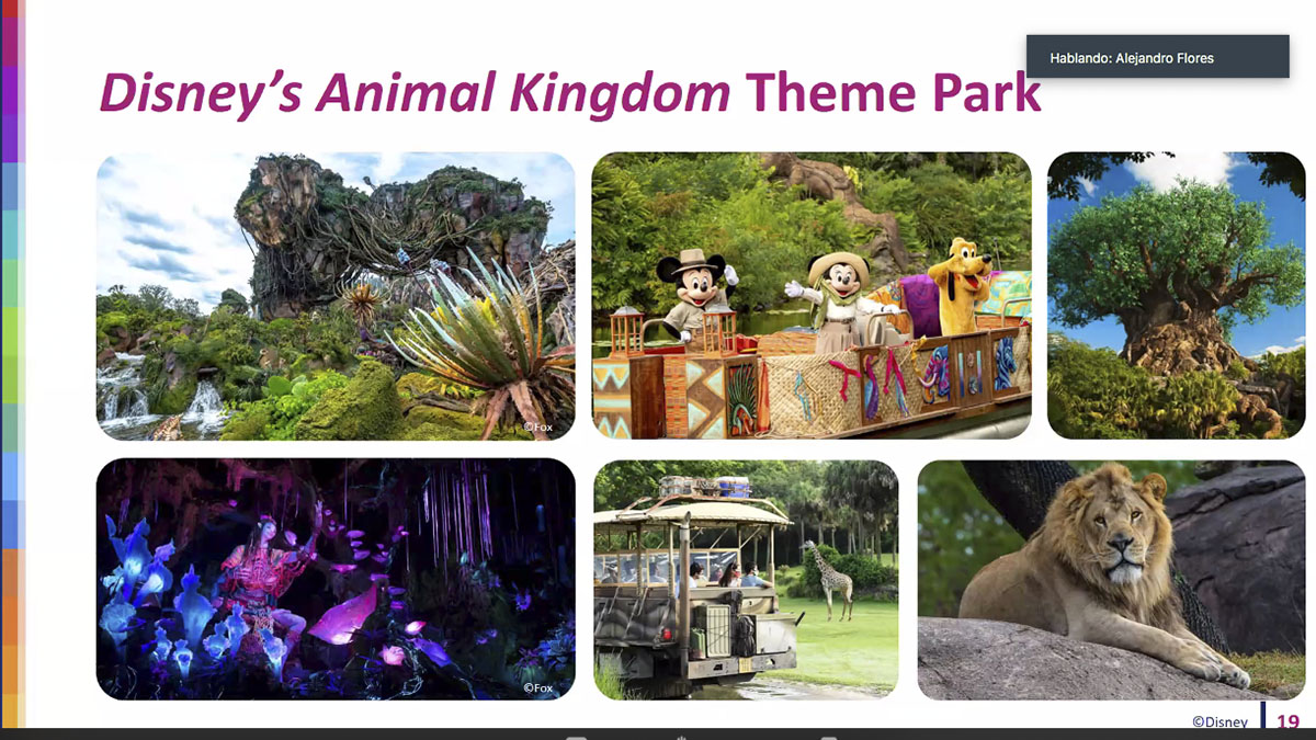 WALT DISNEY WORLD AGENTES VIAJES VENTA 02 WALT DISNEY WORLD AGENTES VIAJES VENTA 02