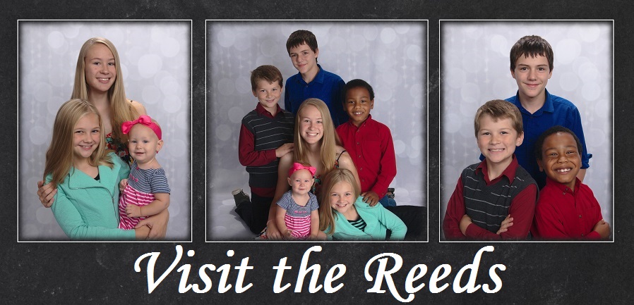 The Reed's