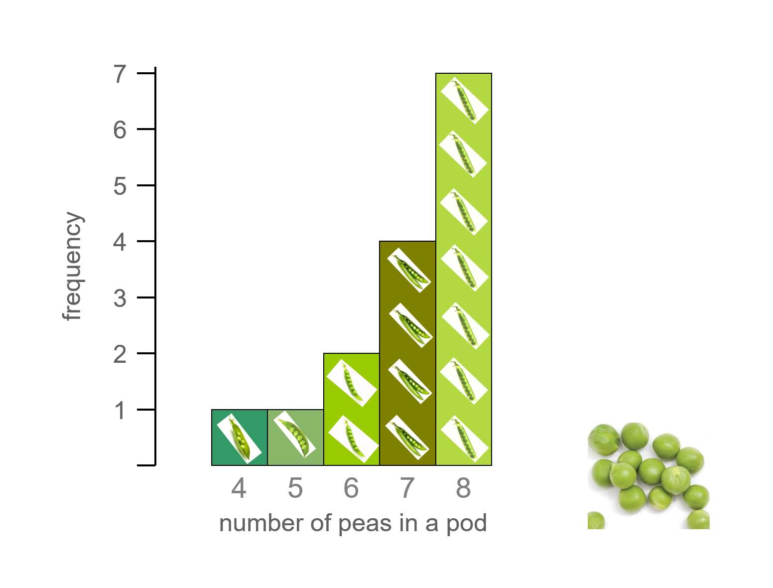 MEDIAN Don Steward mathematics teaching: peas in pods
