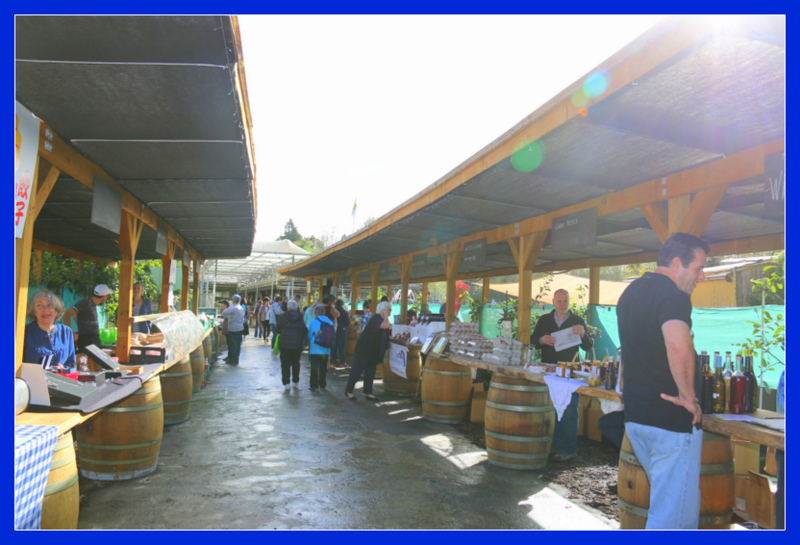 Diet Coke Rocks Market