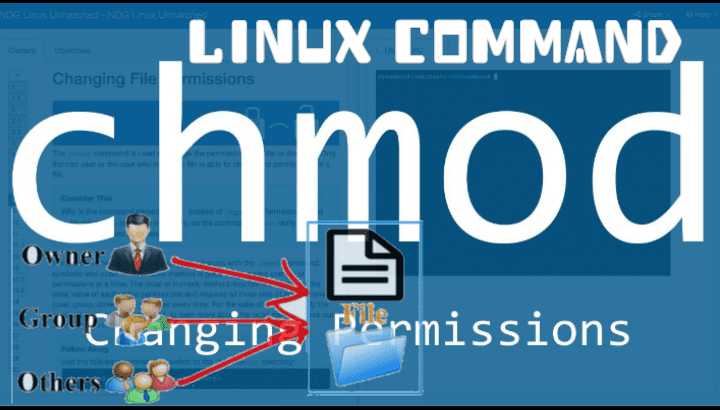 File Permissions In Linux Using Chmod Command