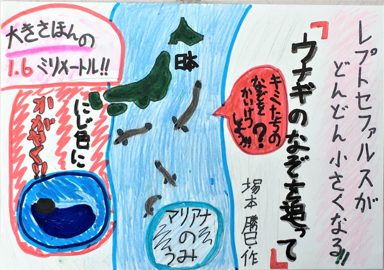 の を ウナギ 追って なぞ