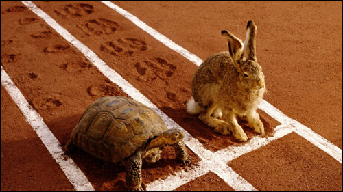 Le lièvre et la tortue en compète Le lièvre et la tortue en compète