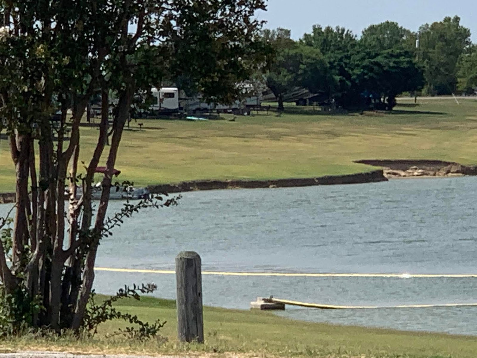 What's up with Susan and Company