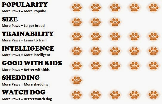 All about Dogs: Facts about Poodles
