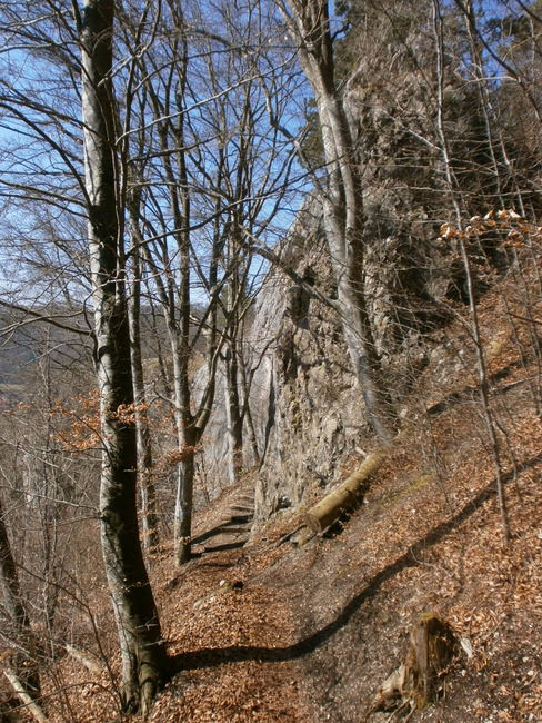 Die Schwabische Alb Und Ihre Natur Auf Dem Schwabische Alb