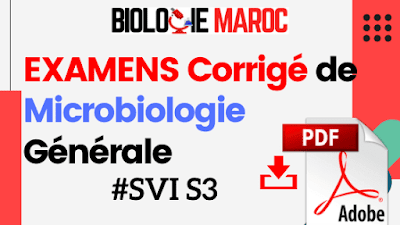 EXAMENS Corrigés de Microbiologie générale SVI S3 - PDF
