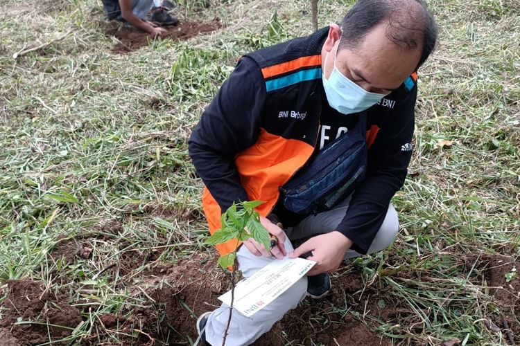 Hutan Organik di Bogor