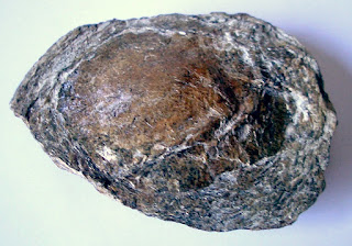 Nódulo biotítico (Pedra Parideira) mother nodule stone, a rare geological phenomenon