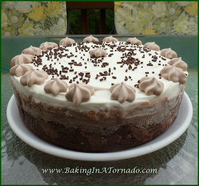 Chocolate Ice Cream Cake | www.BakingInATornado.com | #recipe #cake