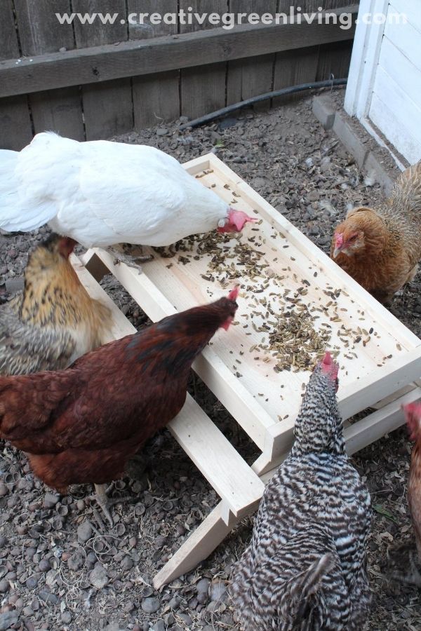 How to make a DIY "Chicknic Table" Plans and stepby step directions