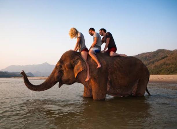 الاحتياطات اللازمة للسفر في مغامرة أو السياحة الاحتياطات اللازمة للسفر في مغامرة أو السياحة