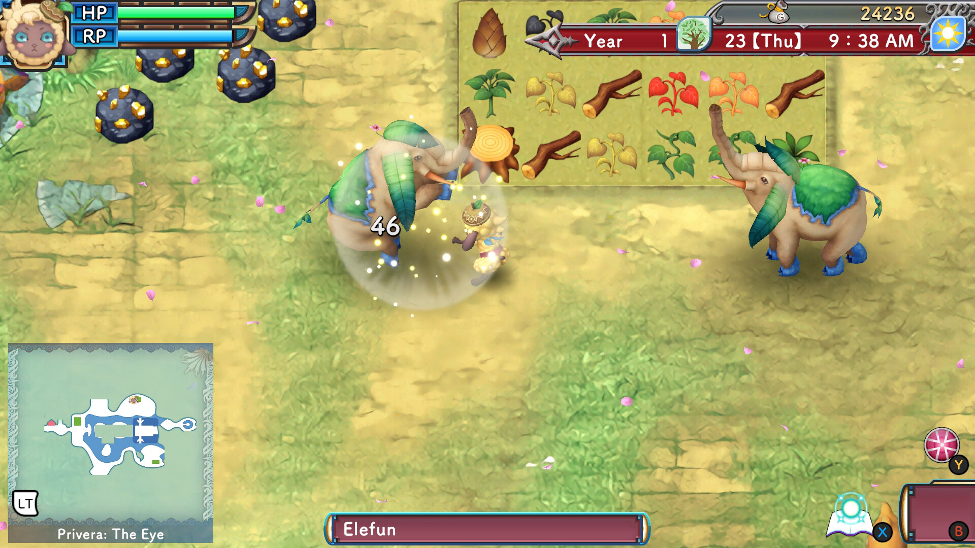 rune-factory-3-special-pc-screenshot-2