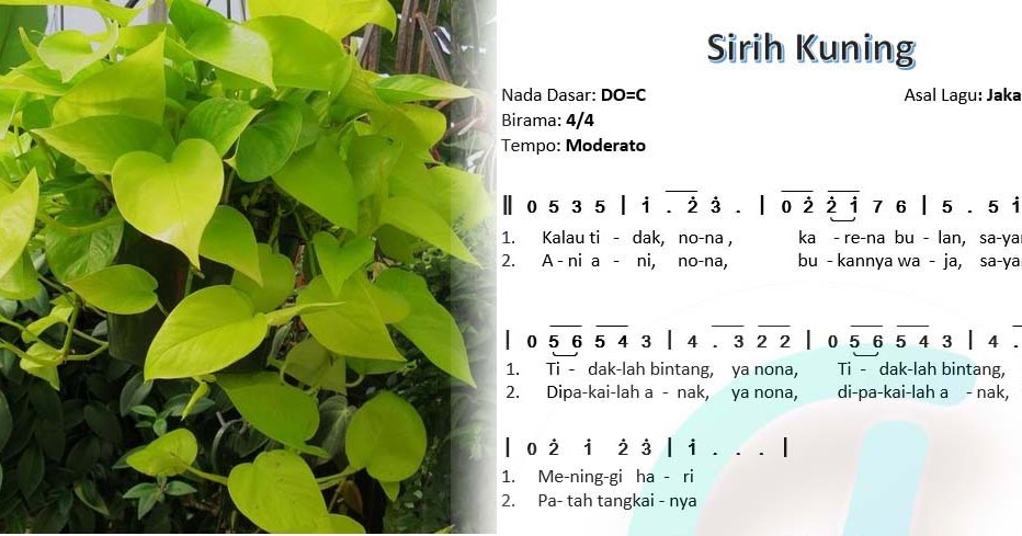 Lagu Sirih Kuning Dari Makna Lirik Not Angka Dan Sejarah Nya Gambaran Keelokan Gadis Betawi