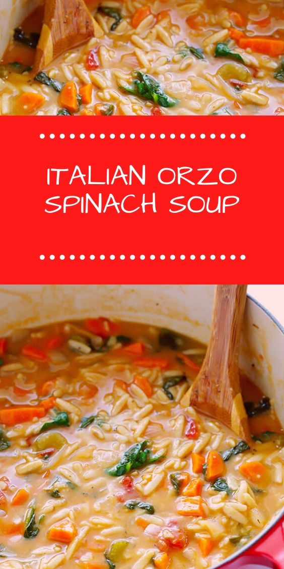 ITALIAN ORZO SPINACH SOUP