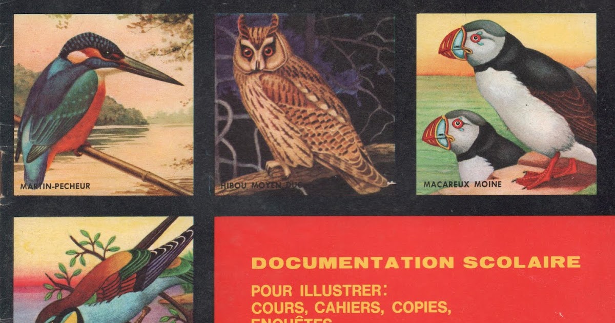 Leçons de choses: Documentation scolaire 103 : Oiseaux (1972)