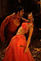 Bollywood and Tollywood acress Shriya Saran in  Chandra, hot sexy saree, navel show, cleavage show