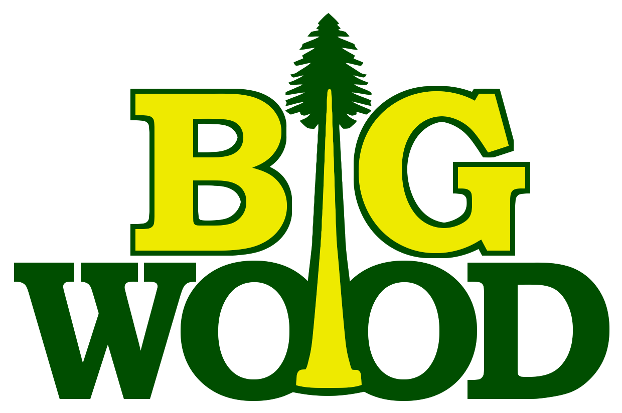 Wiffle in Southeast Michigan: Unveiling Big Wood