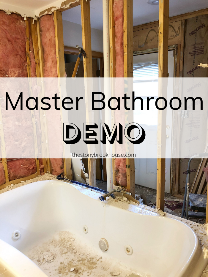 Master Bathroom Demo