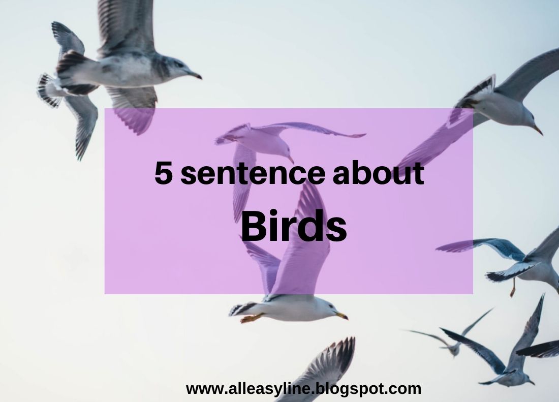 5 Sentences about Birds 5 Lines on Birds
