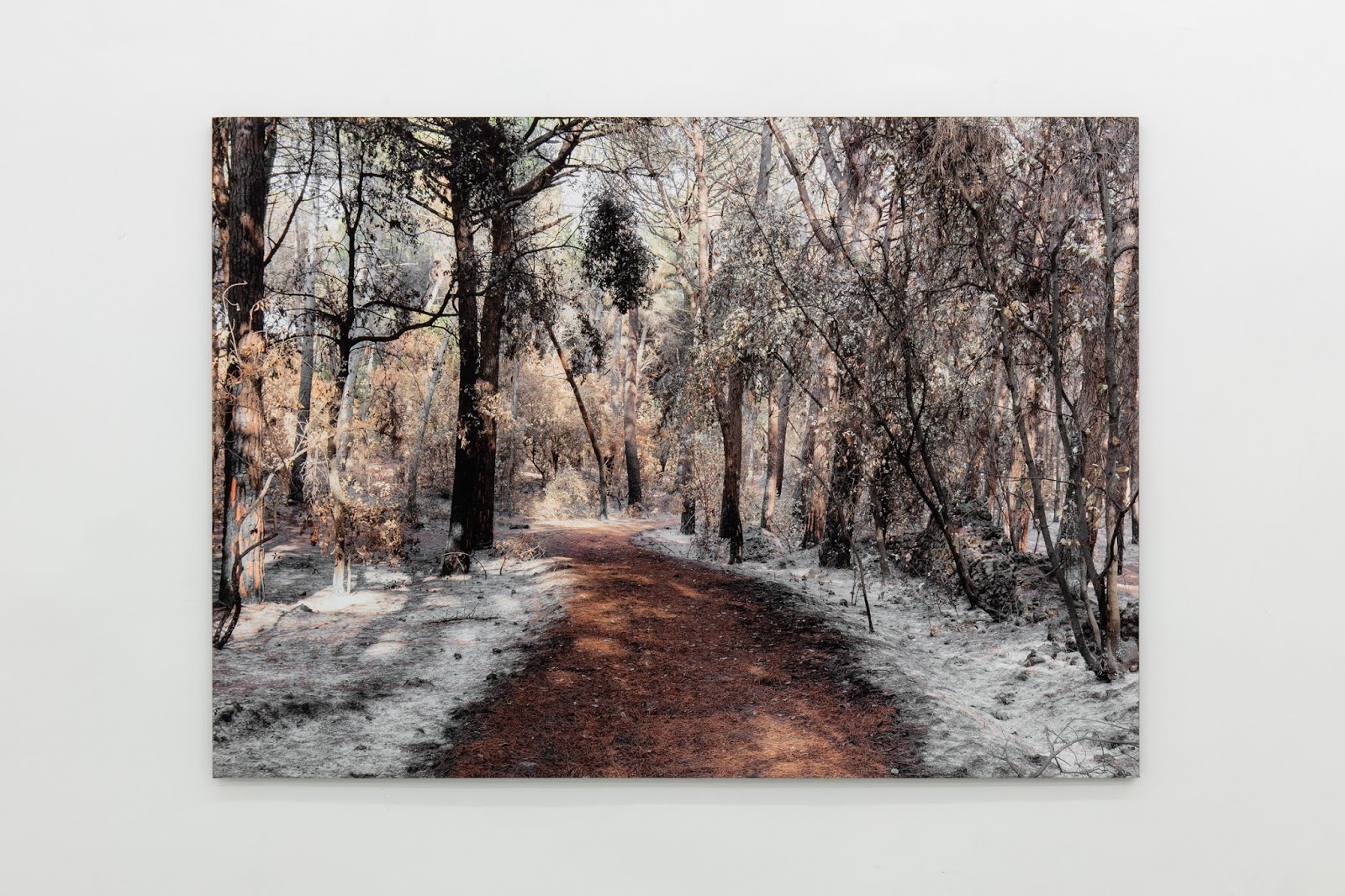 Complex Spa Dorna Arini Vatra Dornei Suceava Romania