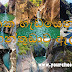 පහනක හැඩයෙන් යුතු - පහන්තුඩාව ඇල්ල 🪔🏊🏻‍♂️ (Pahanthudawa Falls)