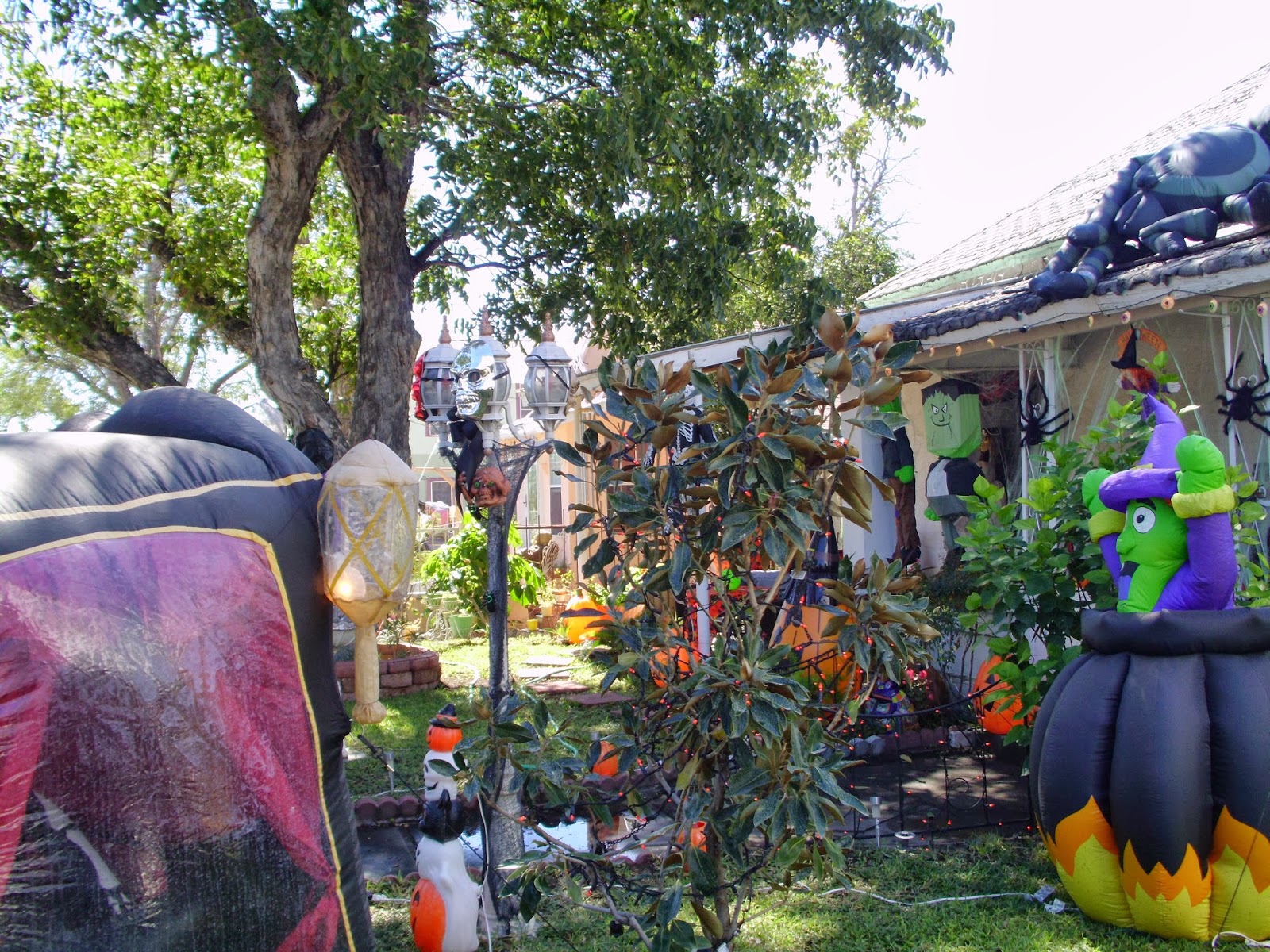 Terlingua Dreams Halloween in Del Rio